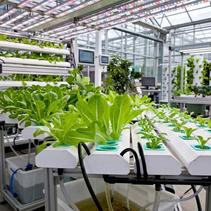 Hydroponic Supply, Croydon<br/>Quality Hydroponic Supply, Croydon<br/>Premium Hydroponic Supply, Croydon