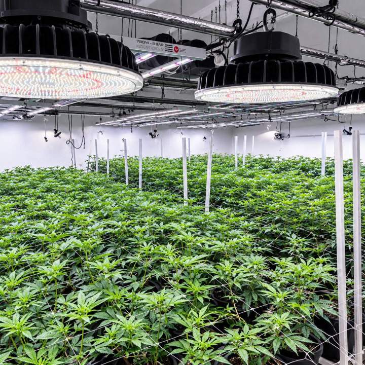 Hydroponic Systems Lilydale